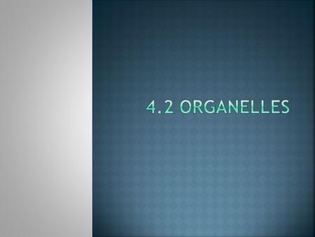 4.2 Organelles.