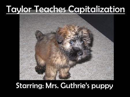Taylor Teaches Capitalization Starring: Mrs. Guthrie’s puppy.