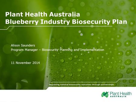 Click to edit Sub-heading Plant Health Australia Blueberry Industry Biosecurity Plan Alison Saunders Program Manager – Biosecurity Planning and Implementation.