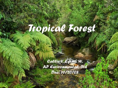 Tropical Forest Callie V. & Amy W. AP Environmental, 3rd Due: 10/20/08.