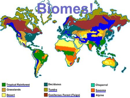 Biomes!. 1. The Freshwater Biome Ponds and Lakes Range in size from square meters to thousands of square kilometers. Limited species diversity because.