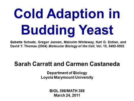 Sarah Carratt and Carmen Castaneda Department of Biology Loyola Marymount University BIOL 398/MATH 388 March 24, 2011 Cold Adaption in Budding Yeast Babette.