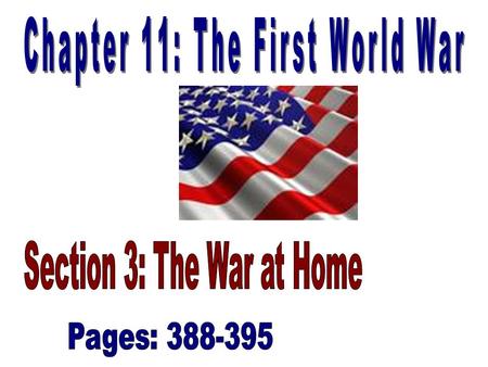 WWI was so big, the entire US economy had to be refocused on the war effort (388) –Business & Government work together –Congress gave President Wilson.