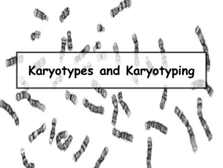 Karyotypes and Karyotyping