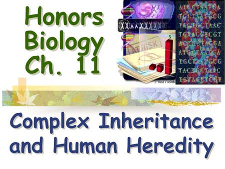Honors Biology Ch. 11 Complex Inheritance and Human Heredity Complex Inheritance and Human Heredity.