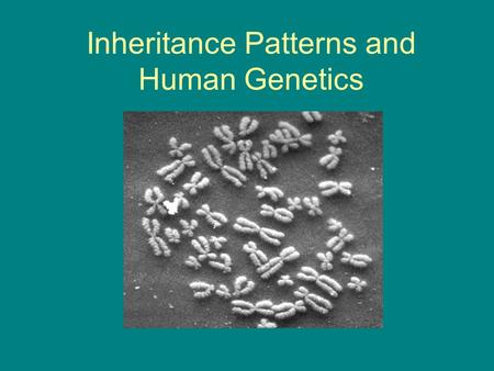 Inheritance Patterns and Human Genetics. Sex Chromosomes and Autosomes Sex Chromosomes contain genes that determine the gender of an individual. Many.