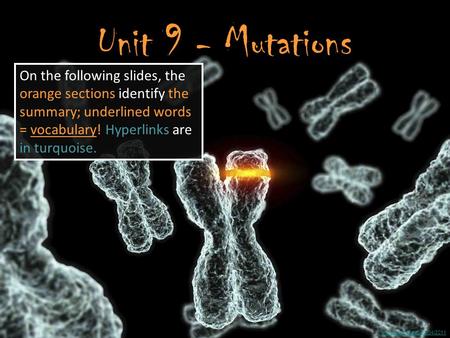 Image Accessed 01/04/2011 Unit 9 - Mutations On the following slides, the orange sections identify the summary; underlined words = vocabulary! Hyperlinks.