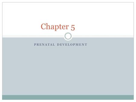 Chapter 5 Prenatal Development.