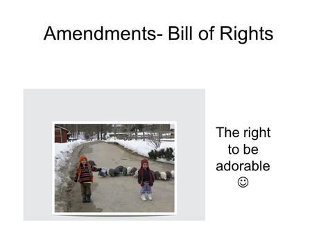 Amendments- Bill of Rights The right to be adorable.