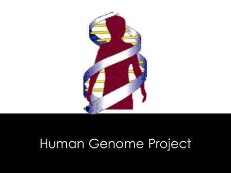 Human Genome Project. In 2003 scientists in the Human Genome Project obtained the DNA sequence of the 3 billion base pairs making up the human genome.