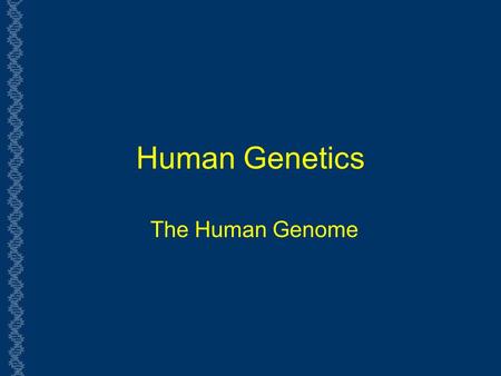Human Genetics The Human Genome 1.
