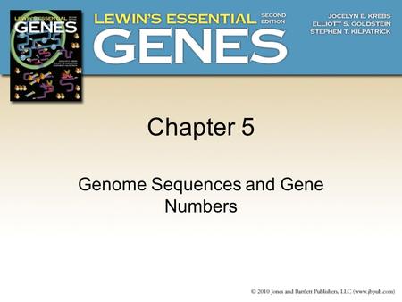 Chapter 5 Genome Sequences and Gene Numbers. 5.1Introduction  Genome size vary from approximately 470 genes for Mycoplasma genitalium to 25,000 for human.
