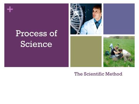 Process of Science The Scientific Method.
