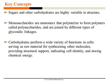 © 2011 Pearson Education, Inc. Key Concepts Sugars and other carbohydrates are highly variable in structure. Monosaccharides are monomers that polymerize.