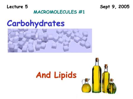 Lecture 5 Sept 9, 2005 MACROMOLECULES #1 Carbohydrates And Lipids.