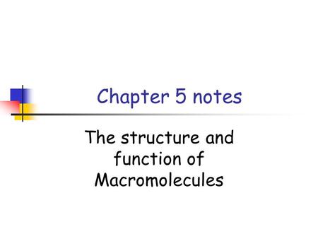 The structure and function of Macromolecules