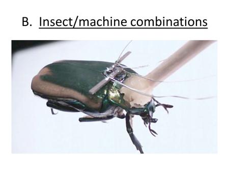 B. Insect/machine combinations. C. Synthetic Transplants.