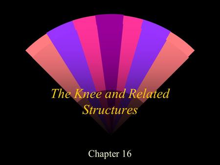 The Knee and Related Structures