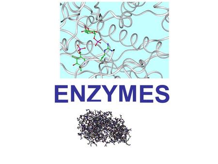 ENZYMES. Definition These are organic substance that accelerates the rate of chemical reactions. Organic catalyst are enzyme: 1.Highly specific: catalyze.