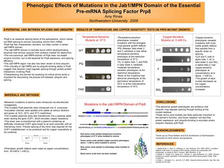 Phenotypic Effects of Mutations in the Jab1/MPN Domain of the Essential Pre-mRNA Splicing Factor Prp8 Amy Rines Northwestern University 2009 Prp8 is an.