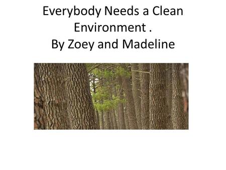 Everybody Needs a Clean Environment. By Zoey and Madeline.