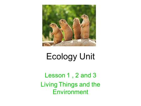 Lesson 1 , 2 and 3 Living Things and the Environment