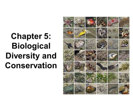 Chapter 5: Biological Diversity and Conservation