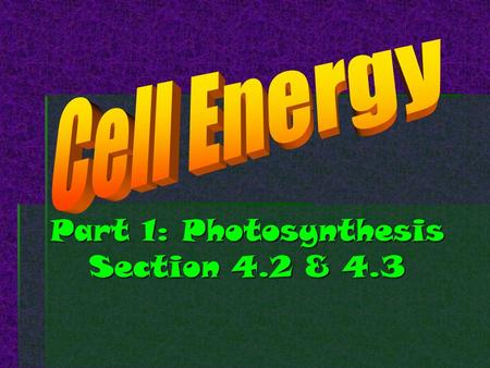Part 1: Photosynthesis Section 4.2 & 4.3