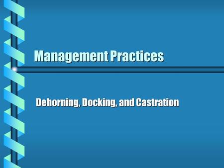 Management Practices Dehorning, Docking, and Castration.