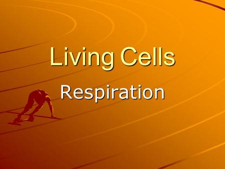 Living Cells Respiration. Energy release There are 3 main food groups; CarbohydratesFatsProteins Carbohydrates are energy-rich compounds, often referred.