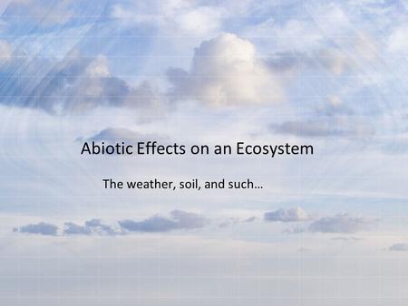 Abiotic Effects on an Ecosystem The weather, soil, and such…