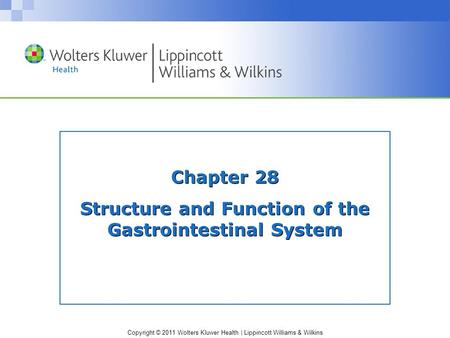 Copyright © 2011 Wolters Kluwer Health | Lippincott Williams & Wilkins Chapter 28 Structure and Function of the Gastrointestinal System.