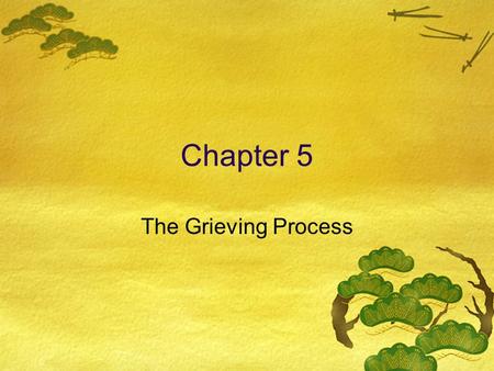 Chapter 5 The Grieving Process. Types of Loss  Obvious Loss  Death, theft, failure, injury, disability  Loss Due to Change  Divorce, moving, change.