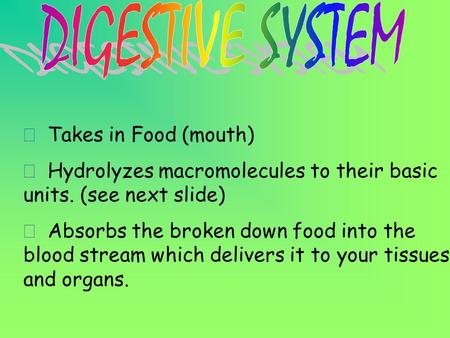 ð Takes in Food (mouth) ð Hydrolyzes macromolecules to their basic units. (see next slide) ð Absorbs the broken down food into the blood stream which.