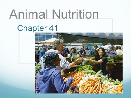 Animal Nutrition Chapter 41.