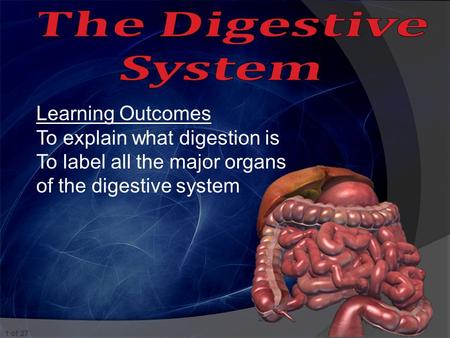 1 of 27 Learning Outcomes To explain what digestion is To label all the major organs of the digestive system.