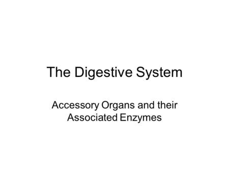Accessory Organs and their Associated Enzymes