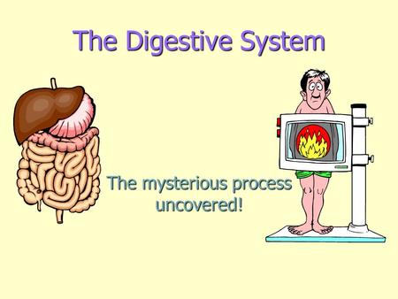 The Digestive System The mysterious process uncovered!
