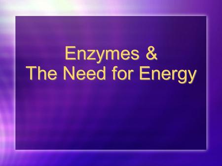 Enzymes & The Need for Energy Section 1: Enzymes.