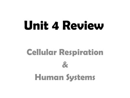 Unit 4 Review Cellular Respiration & Human Systems.