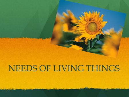 NEEDS OF LIVING THINGS.