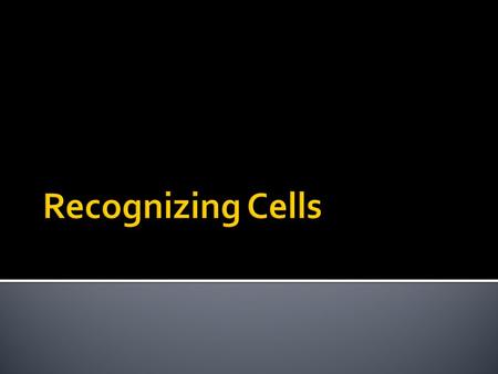 Recognizing Cells.