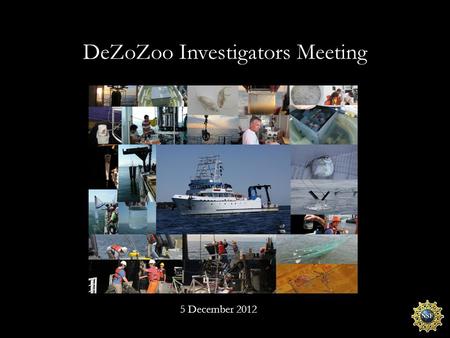 DeZoZoo Investigators Meeting 5 December 2012. What are we doing here today? What we said we would do. What we actually did. What does it mean. What and.