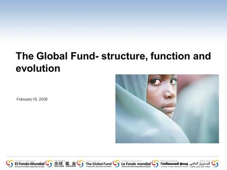 The Global Fund- structure, function and evolution February 18, 2008.