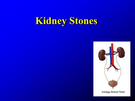 Kidney Stones. EpidemiologyEpidemiology Bladder and kidney stones detected in Egyptian mummies dating back to 4800 BC Bladder and kidney stones detected.