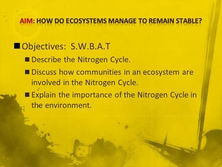 Objectives: S.W.B.A.T Describe the Nitrogen Cycle. Discuss how communities in an ecosystem are involved in the Nitrogen Cycle. Explain the importance of.