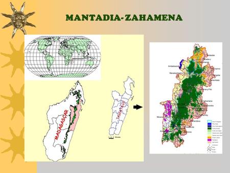MANTADIA- ZAHAMENA. Deforestation across elevation  Between 1974 and 1994: around 90% of forest 