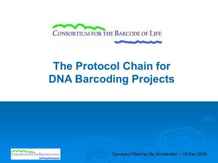 Census of Marine Life, Amsterdam – 16 May 2006 The Protocol Chain for DNA Barcoding Projects.