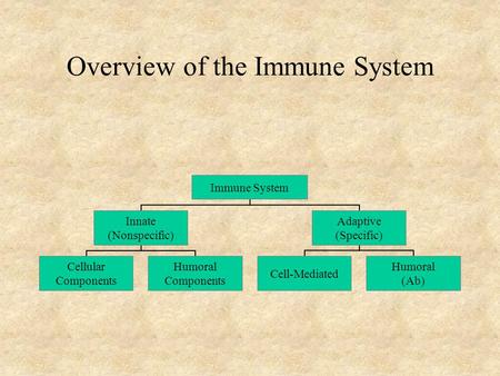 Overview of the Immune System Immune System Innate (Nonspecific) Cellular Components Humoral Components Adaptive (Specific) Cell- Mediated Humoral (Ab)