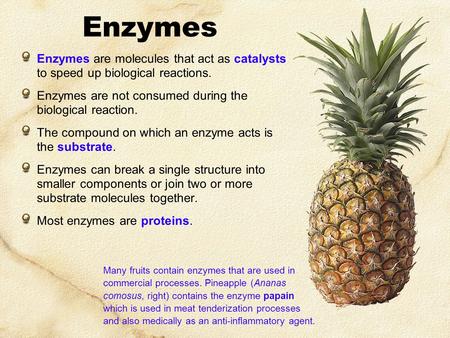 Enzymes Enzymes are molecules that act as catalysts to speed up biological reactions. Enzymes are not consumed during the biological reaction. The compound.